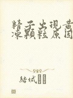 精子出现黄色果冻颗粒原因