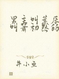 男主叫叶辰女主叫萧初然的小说