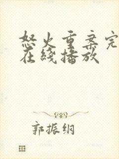 怒火重案完整版在线播放封面