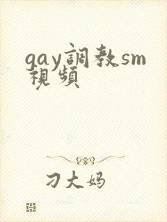gay调教sm视频封面