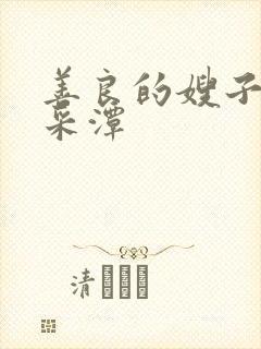 善良的嫂子4李采潭封面