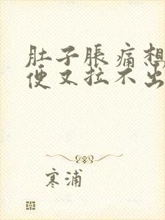 肚子胀痛想拉大便又拉不出来什么原因