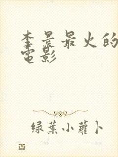 李晨最火的十部电影