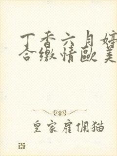 丁香六月婷婷综合缴情欧美