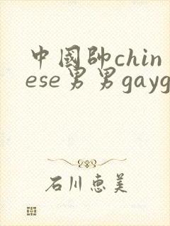 中国帅chinese男男gaygay网站