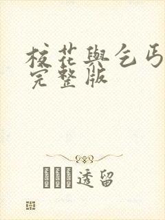 校花与乞丐小说完整版