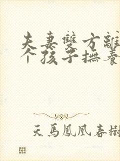 夫妻双方离婚一个孩子抚养权怎么判