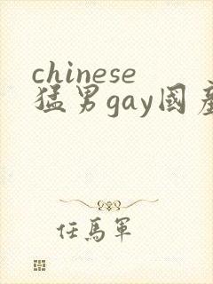 chinese猛男gay国产video网站