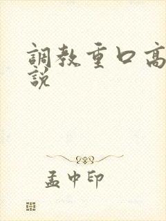 调教重口高h小说封面