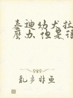 泰迪幼犬拉稀怎么办 但是很活泼