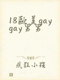 18欧美gaygay男男封面