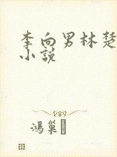 李向男林楚乔的小说