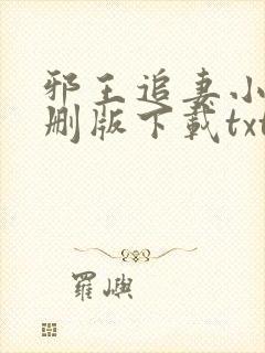 邪王追妻小说未删版下载txt