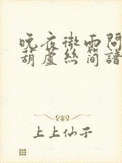 晚夜微雨问海棠葫芦丝简谱