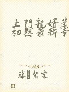 上门龙婿叶辰萧初然最新章节全文免费阅读