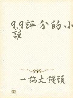 9.9评分的小说