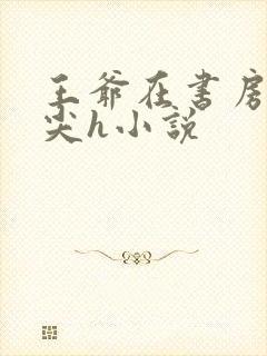 王爷在书房含乳尖h小说