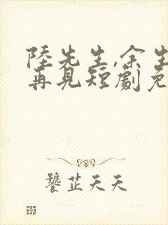 陆先生,余生不再见短剧免费观看封面