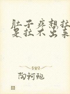 肚子疼想拉屎但是拉不出来怎么回事