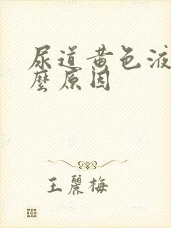 尿道黄色液体什么原因