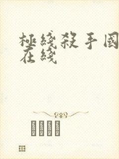 极线杀手国语版在线封面