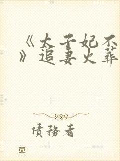 《太子妃不干了》追妻火葬场