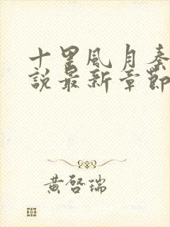 十里风月秦姨小说最新章节列表