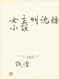 女主叫沈穗穗的小说