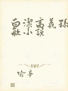 白洁高义孙倩张敏小说