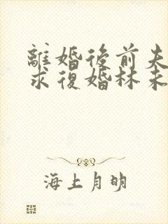 离婚后前夫哭着求复婚林未央完整版