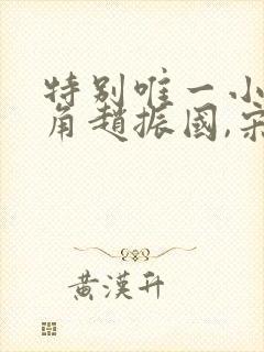 特别唯一小说主角赵振国,宋婉清