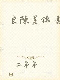 良陈美锦 番外封面