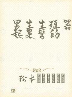 男生生殖器官勃起是弯的