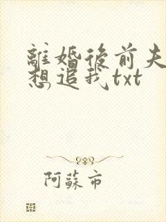 离婚后前夫总是想追我txt