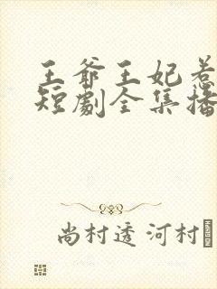 王爷王妃惹不得短剧全集播放