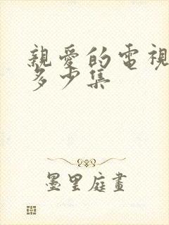 亲爱的电视剧有多少集