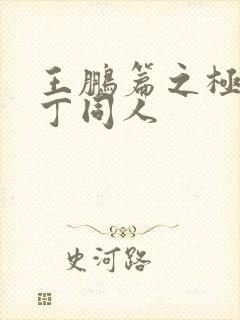 王鹏篇之极品家丁同人