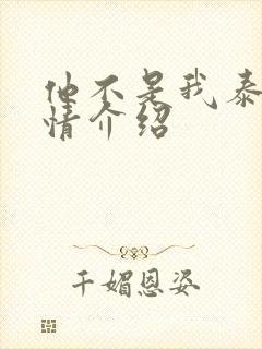 他不是我泰剧剧情介绍