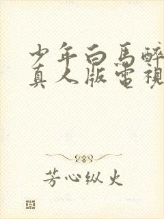 少年白马醉春风真人版电视剧17集