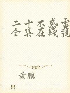 二十不惑电视剧全集在线观看免费