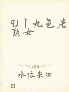 91丨九色老版熟女