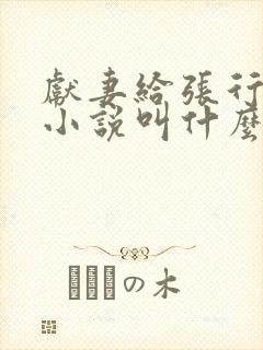 献妻给张行原著小说叫什么名字