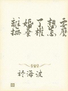 离婚了想要孩子抚养权怎么办封面