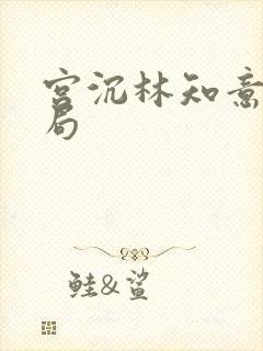 宫沉林知意大结局