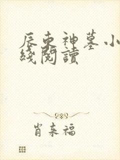 辰东神墓小说在线阅读