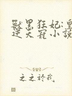 兽黑狂妃:皇叔逆天宠小说看