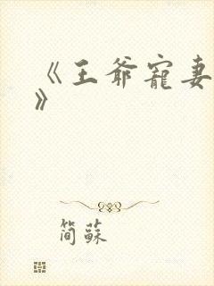 《王爷宠妻无度》封面