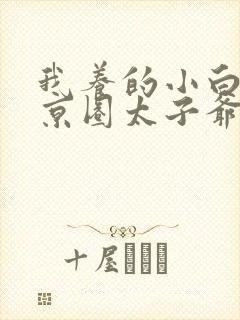 我养的小白脸是京圈太子爷大结局