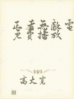 正者无敌电视剧免费播放封面