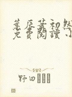 叶辰萧初然小说免费阅读 小说